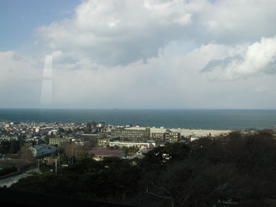 �F���邩��̔��i��