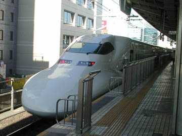 �V�O�O�n�̂���